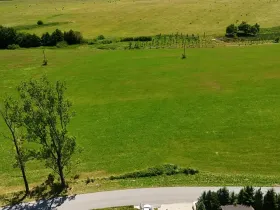Prodej pozemku pro bydlení, Horní Stropnice, 8861 m2