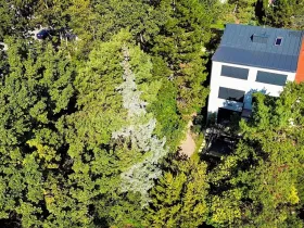 Prodej rodinného domu, Brno, Obecní, 287 m2