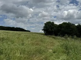 Prodej podílu pole, Suchdol, 4916 m2