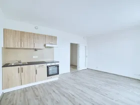 Pronájem bytu 1+kk, Plzeň, Rejskova, 38 m2