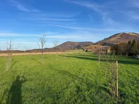 Prodej pole, Kozlovice, 100000 m2