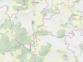 Dražba lesa, Kuřimany, 4499 m2