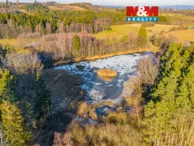 Prodej rybníku, Horní Ves, 21990 m2