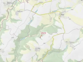 Dražba lesa, Čestín, 557 m2