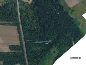 Prodej lesa, Břeclav, 1050 m2