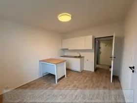 Pronájem bytu 1+1, Ústí nad Labem, Železná, 35 m2