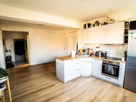 Prodej bytu 2+1, Praha - Vršovice, Lvovská, 68 m2