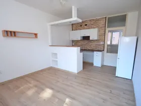 Pronájem bytu 1+kk, Frýdek-Místek, Javorová, 23 m2
