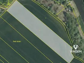 Prodej podílu pole, Žiželice, 3008 m2