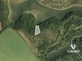 Prodej podílu pole, Kobylí, 791 m2