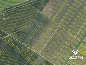 Prodej podílu pole, Moravská Nová Ves, 552 m2