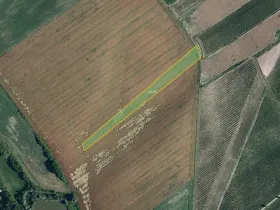 Prodej pole, Nový Poddvorov, 10177 m2