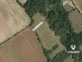 Prodej pole, Traplice, 422 m2