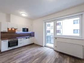 Pronájem bytu 1+kk, Plzeň - Severní Předměstí, Bolevecká, 37 m2