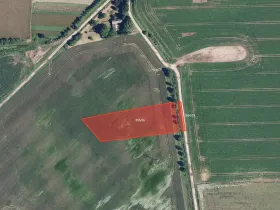 Prodej pole, Dubicko, 31003 m2