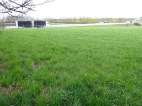 Prodej komerčního pozemku, Stránecká Zhoř - Kochánov, 2295 m2