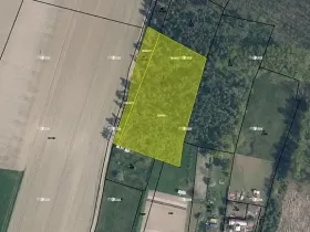 Prodej lesa, Bechlín, 6309 m2