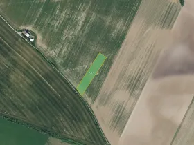 Prodej pole, Bezděkov, 7636 m2