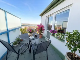 Pronájem bytu 1+kk, Praha - Prosek, Litoměřická, 28 m2