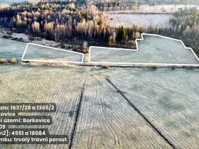 Prodej pole, Borkovice, 37657 m2