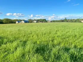 Prodej pozemku pro bydlení, Horní Bludovice, 1584 m2