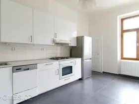 Pronájem bytu 3+1, Praha - Vinohrady, Slezská, 100 m2