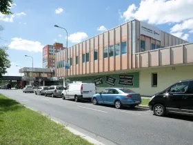 Pronájem obchodního prostoru, Praha - Troja, Lodžská, 220 m2
