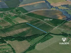 Prodej pole, Loukov, 3775 m2