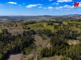 Prodej lesa, Železný Brod, 11203 m2