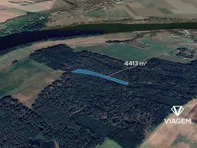 Prodej lesa, Dobříň, 4413 m2