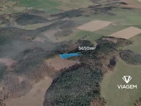 Prodej lesa, Řečice, 5650 m2