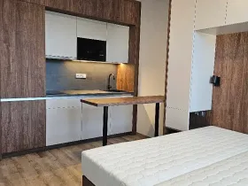 Pronájem pokoje, Praha - Michle, Na úlehli, 48 m2