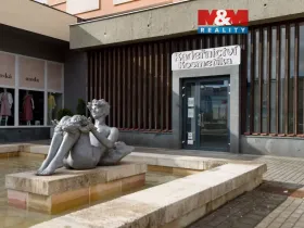 Prodej obchodního prostoru, Chomutov, Palackého, 159 m2