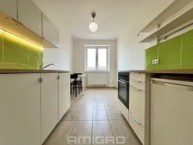 Prodej bytu 1+1, Brno, Merhautova, 48 m2