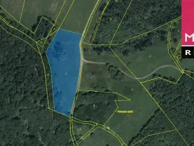 Prodej louky, Stráž nad Ohří, 9519 m2