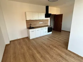 Pronájem bytu 1+kk, Praha - Motol, Podhorská, 27 m2