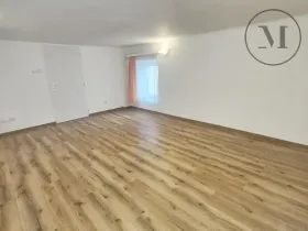 Pronájem bytu 1+kk, České Budějovice, Jírovcova, 28 m2