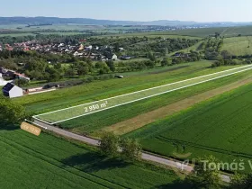 Prodej pole, Velešovice, 2950 m2