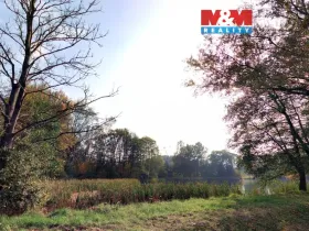 Prodej louky, Petrovice - Obděnice, 7011 m2