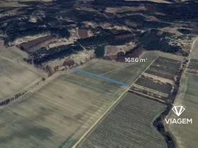 Prodej pole, Konecchlumí, 1686 m2