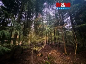 Prodej lesa, Blížejov, 6627 m2