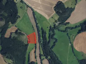 Prodej louky, Borovnice, 16910 m2