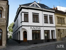 Pronájem obchodního prostoru, Uherský Brod, Kaunicova, 224 m2