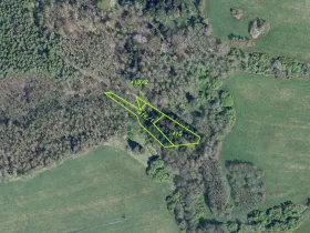 Prodej pole, Petrovice, 2750 m2