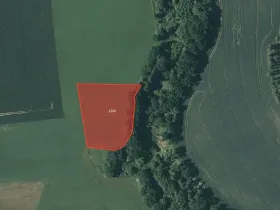 Prodej pole, Šebířov, 3421 m2