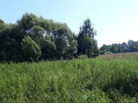 Prodej pozemku pro bydlení, Bouzov, 1563 m2