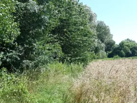 Prodej pozemku pro bydlení, Bouzov, 1296 m2