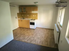 Pronájem bytu 1+kk, Děčín, Teplická, 19 m2