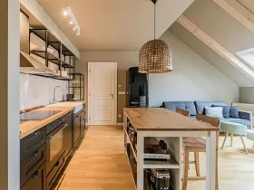 Pronájem bytu 2+kk, Praha - Vinohrady, Nitranská, 50 m2