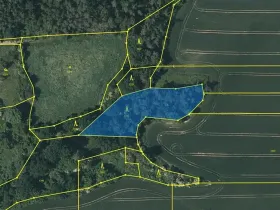 Prodej lesa, Černíkovice, 2471 m2